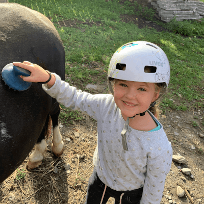 reiten5