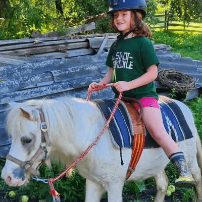 reiten8