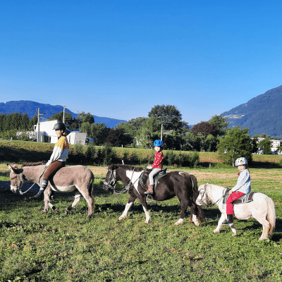 reiten12