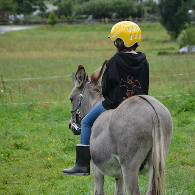 reiten3